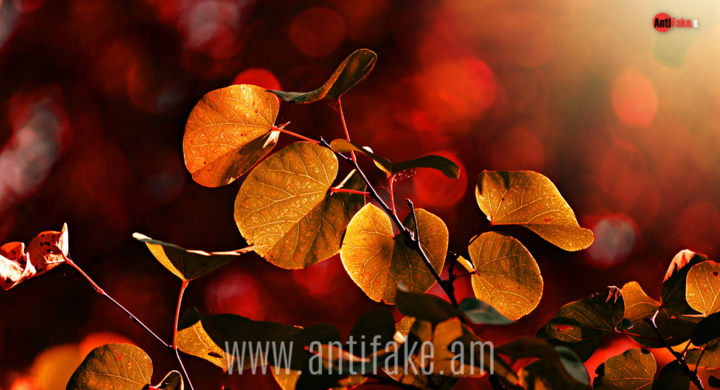any